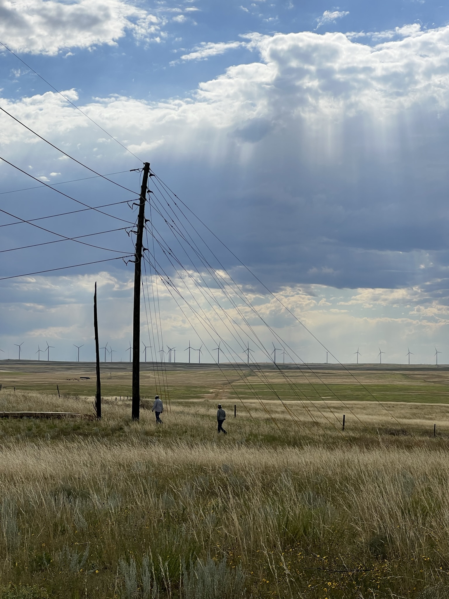 Overhead distribution